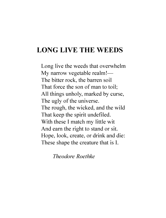 LONG LIVE THE WEEDS (Poem by Theodore Roethke)