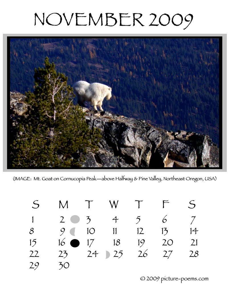 Mt. Goat on Cornucopia Peak, above Halfway & Pine Valley, Northeast Oregon ISA