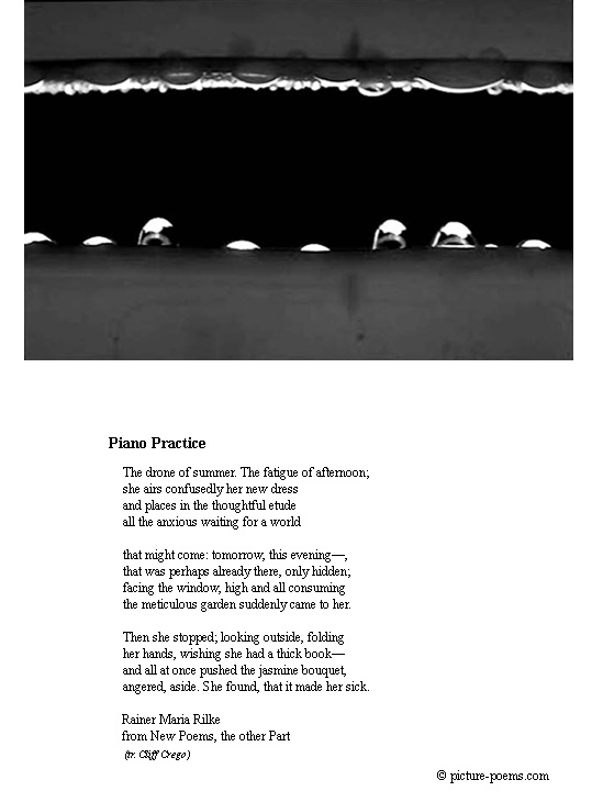 Card: BW-Red Drops/Piano Practice (fold)