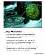 Poster: 3 Miniatures