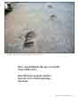 Poster: The 3 Steps