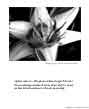 Poster: Aphorisms