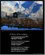 Poster: Contrasts