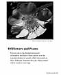 Poster: Flower/Poems