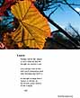 Poster: Leaves