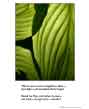 Poster: Line and Curve