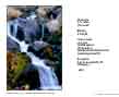 Poster: Mossy Spring