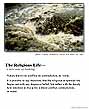 Poster: No Waste
