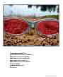 Poster: Rose-colored Glasses