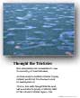 Poster: Thought the Trickster