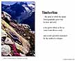 Poster: Timberline