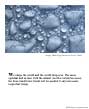 Poster: Water Drops