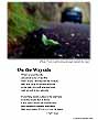 Poster: Wayside