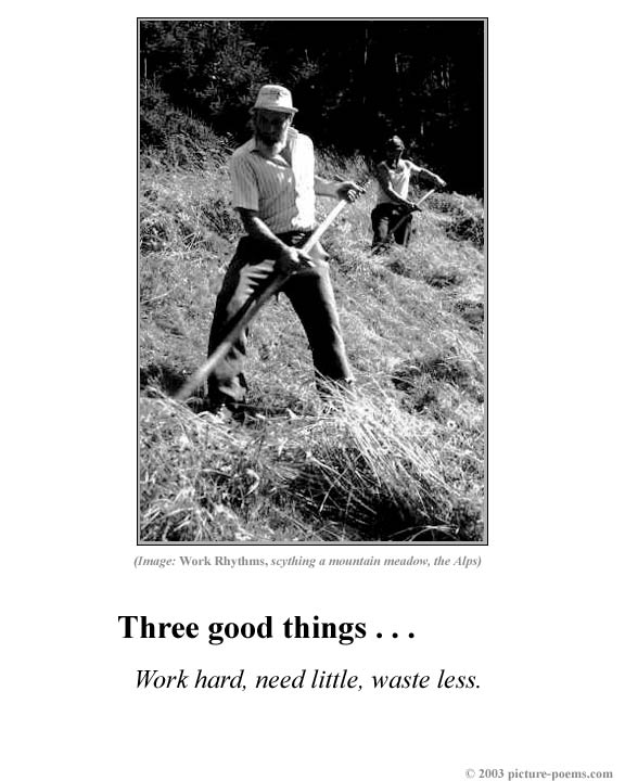 Picture/Poem Poster:  3 Good Things