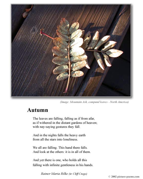 Picture/Poem Poster: Autumn