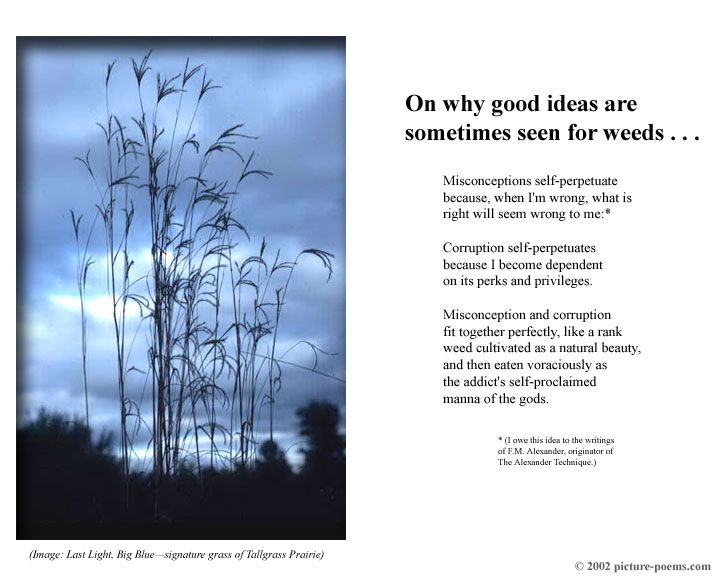 Picture/Poem Poster:  Big Blue