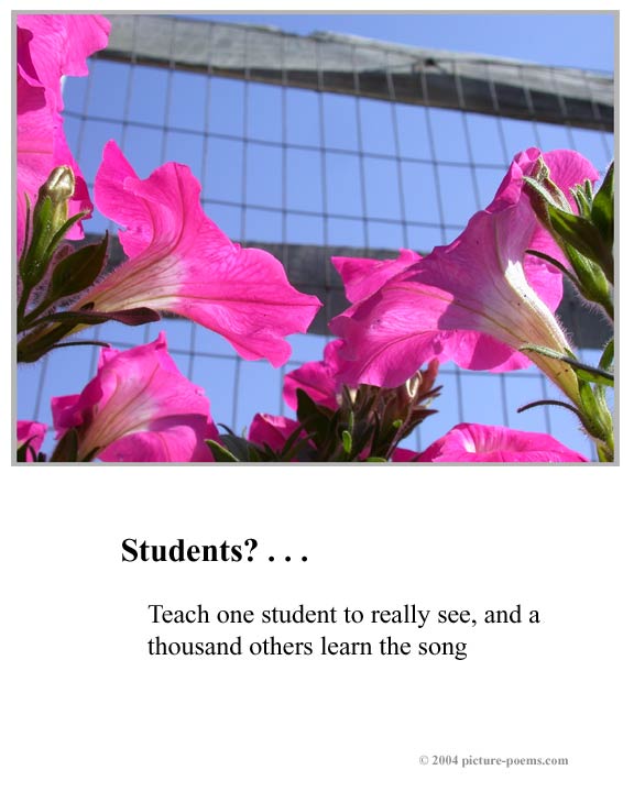 p/p poster, students