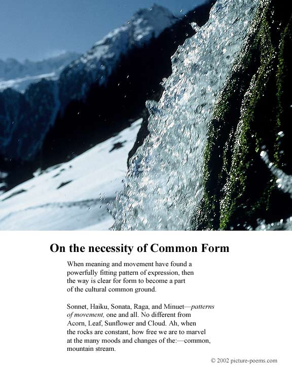 Picture/Poem Poster: Common Form