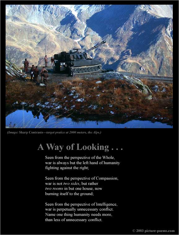 Picture/Poem Poster:  Contrasts