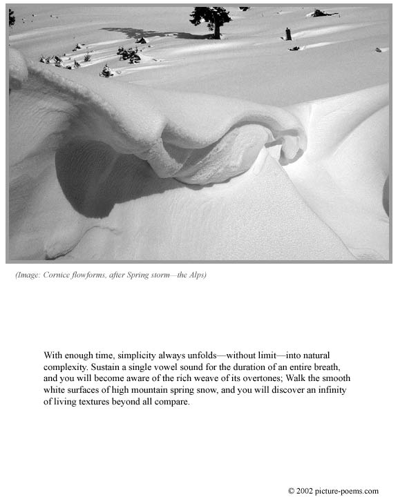 Picture/Poem Poster: Cornice Flowforms