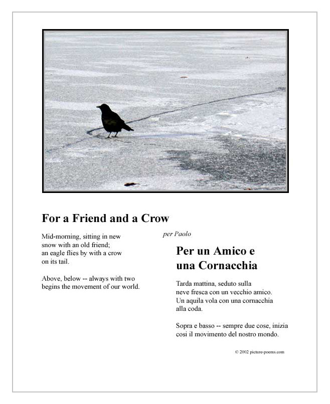 Picture/Poem Poster: Crow Solo