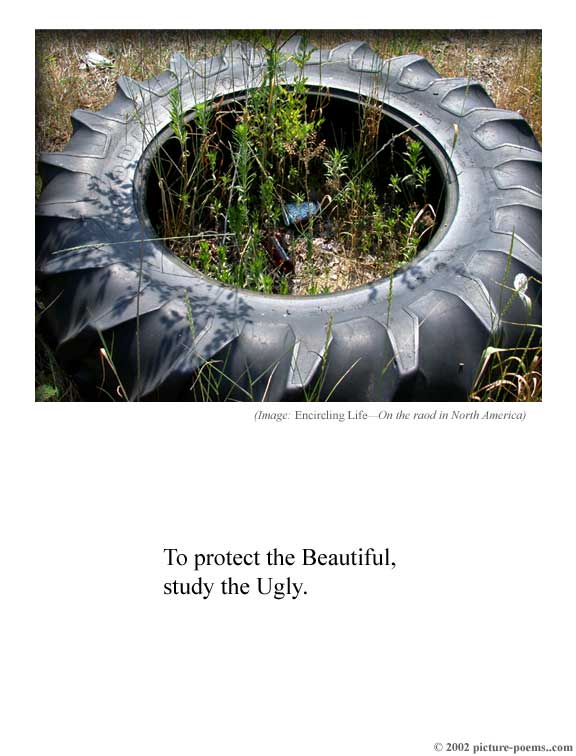 Picture/Poem Poster: Encircling Life