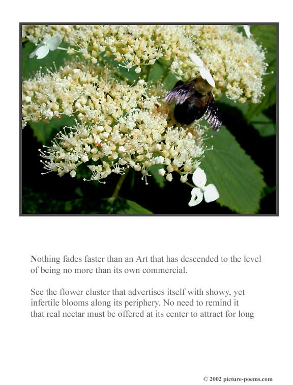 Picture/Poem Poster: Flower Cluster