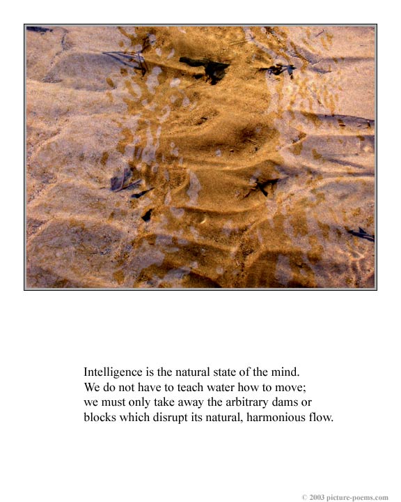 Picture/Poem Poster:  Way of Intelligence