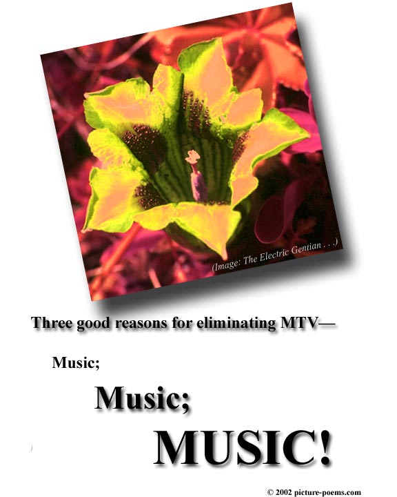 Picture/Poem Poster: The Electric Gentian