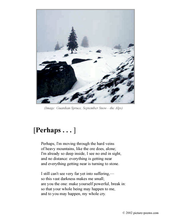 Picture/Poem Poster: Guardian Spruce