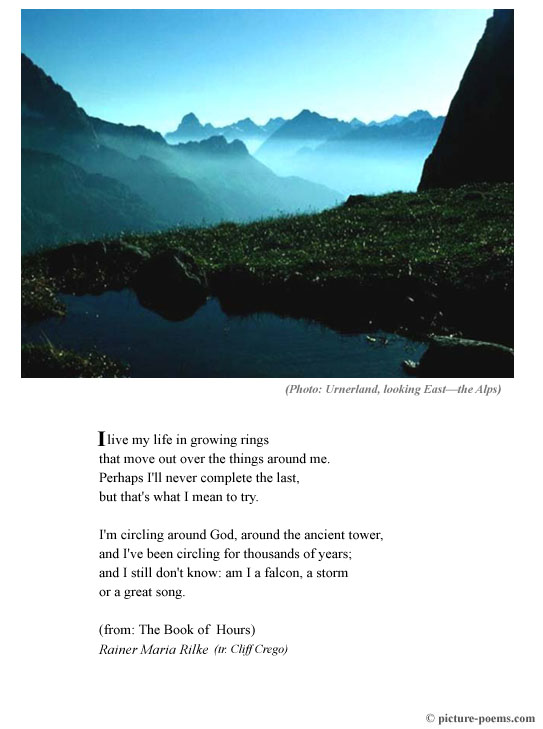 Picture/Poem Poster" "I live my live"