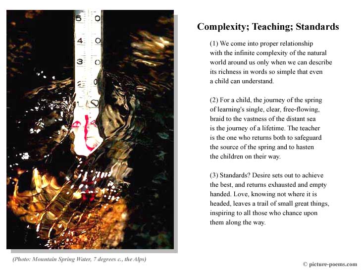 Picture/Poem Poster: Learning Spring