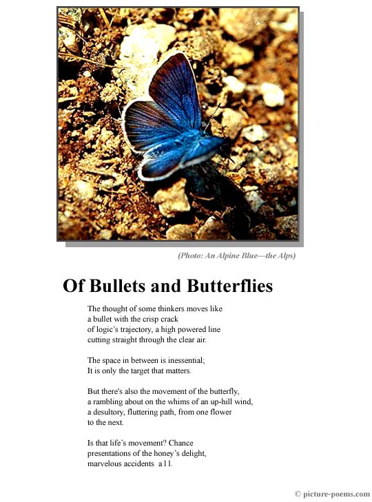 Picture/Poem Poster: Little Blue