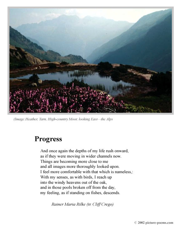 Picture/Poem Poster: Progress