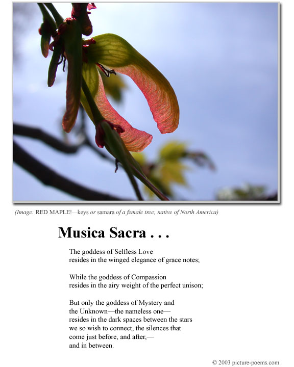 Picture/Poem Poster: Musica Sacra