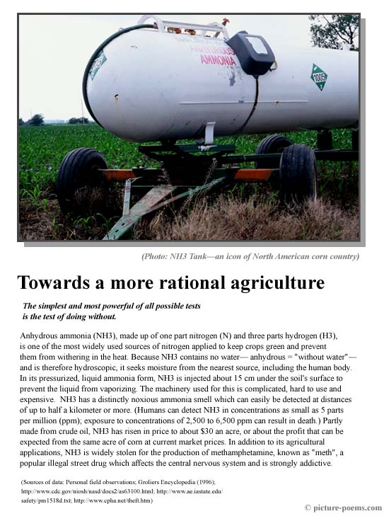 Picture/Poem Poster: NH3