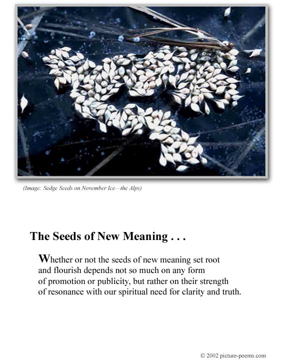 Picture/Poem Poster: Sedge seeds on ice