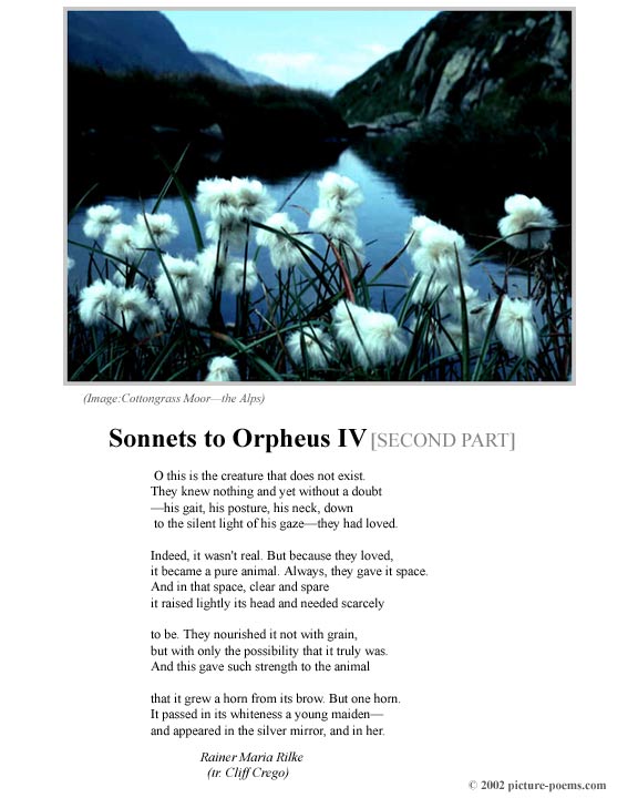 P/P Poster: Sonnets to Orpheus IV [2]
