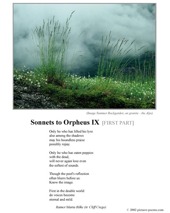P/P Poster: Sonnets to Orpheus IX [1]