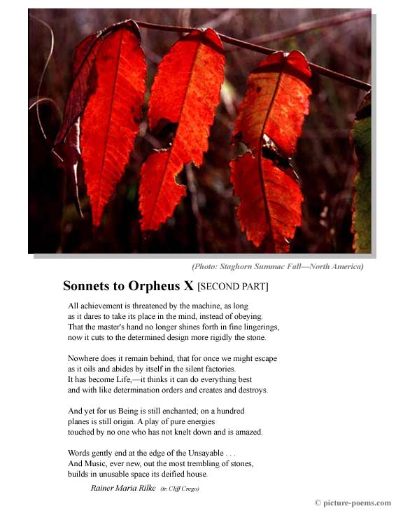 P/P Poster: Sonnets to Orpheus X [2] (Rilke tr. Crego)