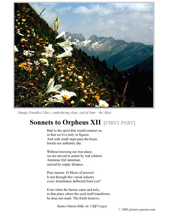 P/P Poster: Sonnets to Orpheus XII [1]