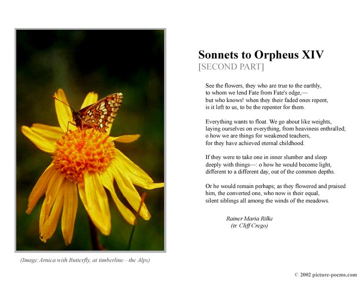 P/P Poster: Sonnets to Orpheus XIV [2]