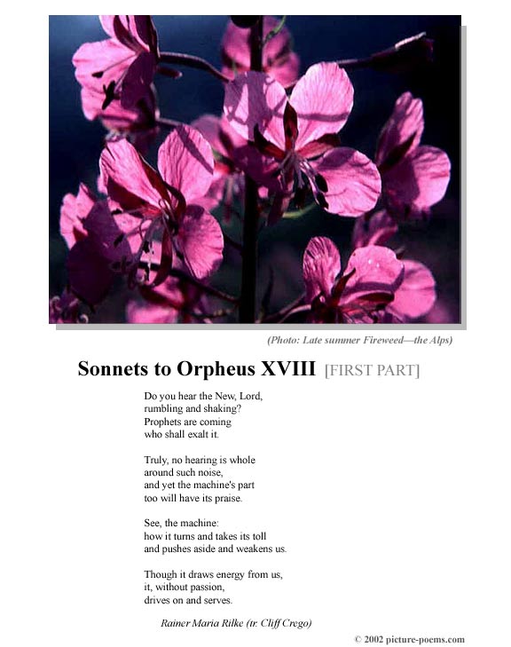 P/P Poster: Sonnets to Orpheus XVIII [1] (Rilke tr. Crego)