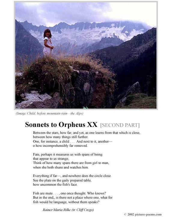 P/P Poster: Sonnets to Orpheus XX [2] (Rilke tr. Crego)