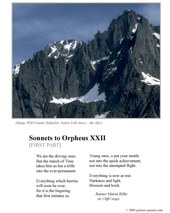 P/P Poster: Sonnets to Orpheus XXII [1]