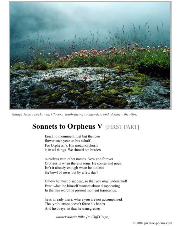 P/P Poster: Sonnets to Orpheus V [1] (Rilke tr. Crego)
