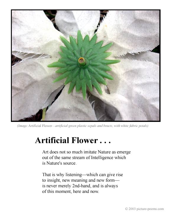 Picture/Poem Poster:  Real Thing