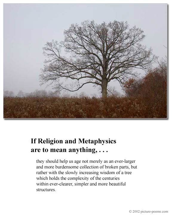 Picture/Poem Poster:  Tree of  Wisdom