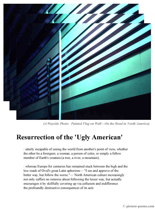 Picture/Poem Poster: Wall Flag