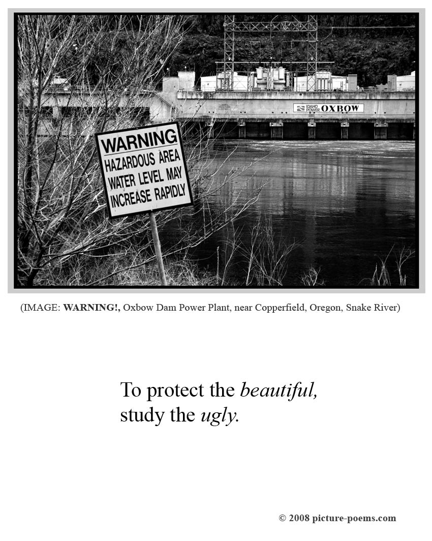 Poster: WARNING!